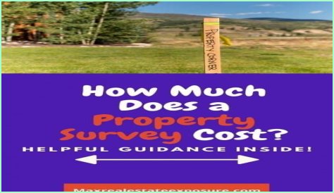 How much does a full property survey cost?