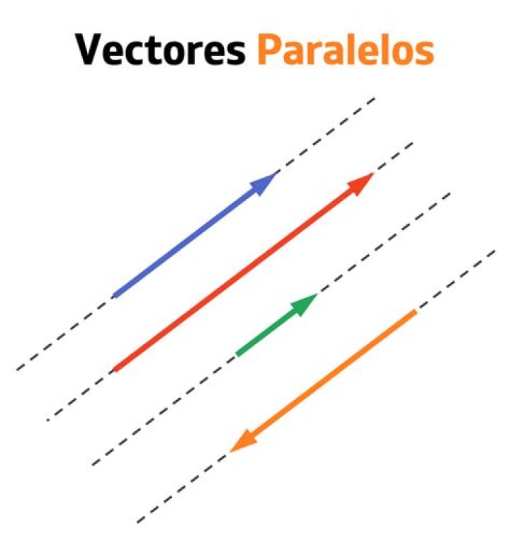 ¿Cuando los vectores son paralelos o perpendiculares?