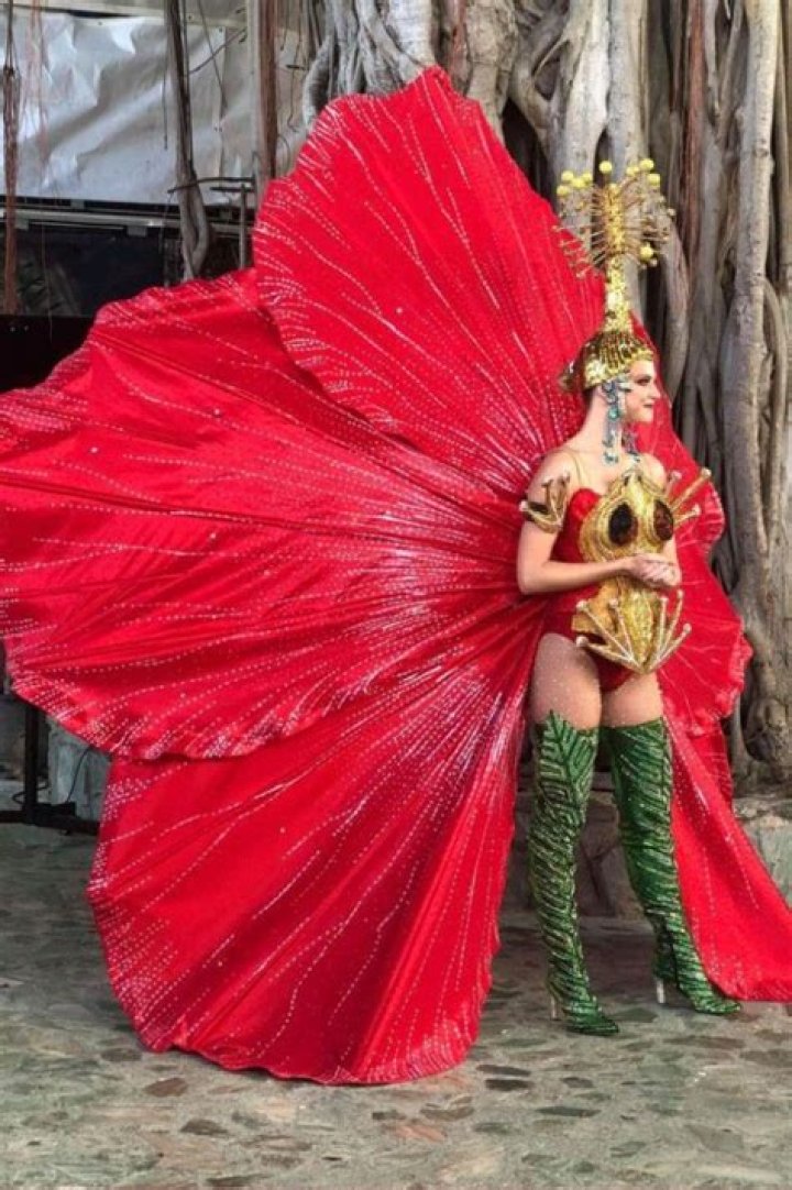 How much are carnival costumes?