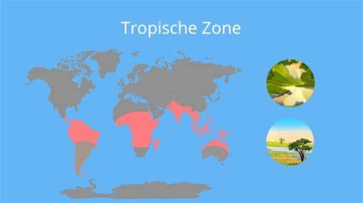 In welcher Klimazone liegt der tropische Regenwald?