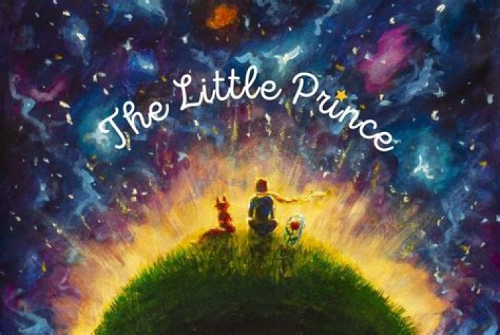 Who does the little prince fall in love with?