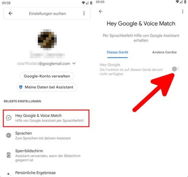 Wie kann ich den Google Assistant einstellen?